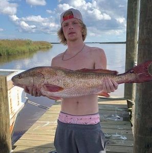 Meet your Posher, Devin